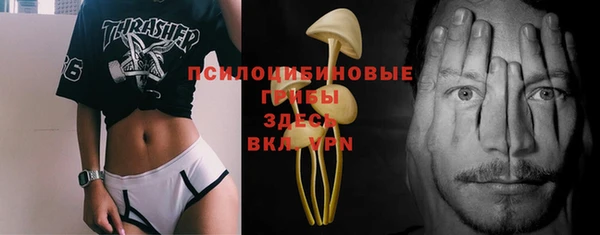 шишки Бугульма