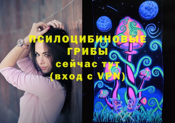 дмт Бронницы