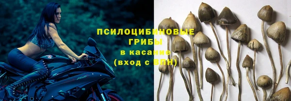 каннабис Бородино